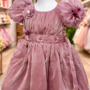 Dusty Rose Princess Party Frock for Kids